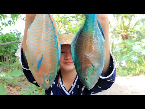download lagu mp3 mp4 Tusk Fish Recipes, download lagu Tusk Fish Recipes gratis, unduh video klip Tusk Fish Recipes