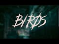Turnstile - BIRDS (2025 Release) | Lyrics