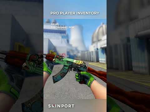 Check out FalleN's cool Inventory