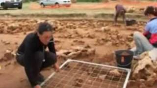 preview picture of video 'découverte néolithique à gréez sur roc'