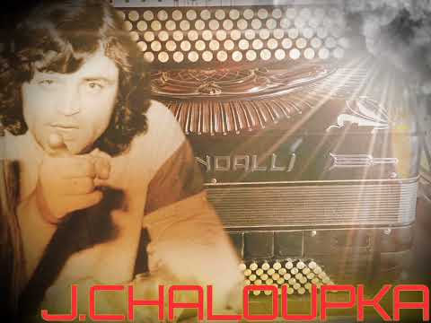 J.Chaloupka volume2