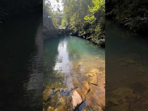 Expedição no Cerrado de Cidade Ocidental GO