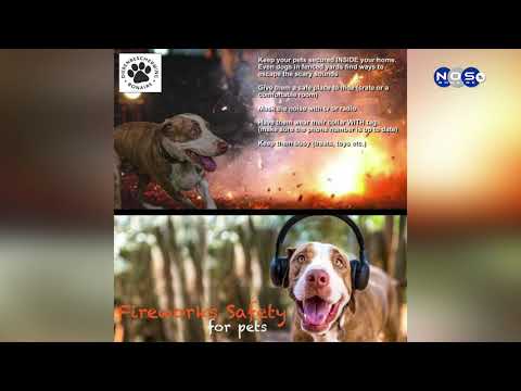 Konseho pa doñonan di kacho kontra vuurwerk.