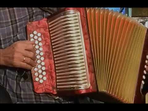 Cana Verde Classica em Sol - iniciantes