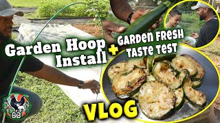 Installing Greenhouse Hoops Over Bush Beans | Homestead Vlog + Fresh Zucchini Harvest & Cook!