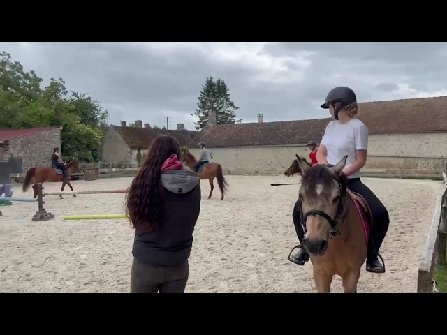 Top ponette CSO 4 ans