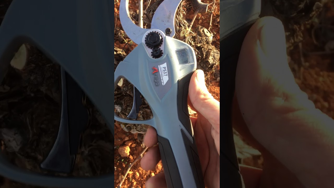 Arvipo PS37 electric secateurs