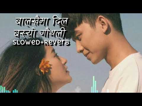 Balakhaima Dil Basyo Gauthali (Slowed and Reverb) || Rupesh Chand || Milan B.K., Puja Gaha