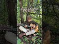 Evergreen by Richy Mitch & The Coal Miners #evergreen #guitar #richymitchandthecoalminers