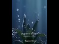 Idhuvum Kadanthu Pogum Song Nayanthara Netrikan WhatsApp Status