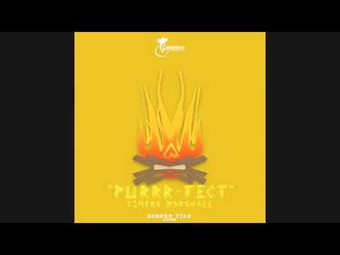 PURRRFECT - Timeka Marshall