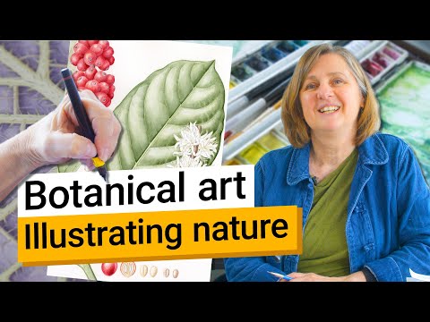 Botanical illustration at Kew: Our resident artist shares her top tips