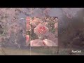Where Roses Bloom - Teesa // 1 hour loop // rain