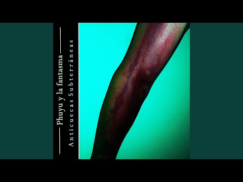 Erizosacorazados - Phuyu y la Fantasma