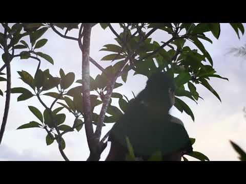 Toku Kaiga - TK (Dance Video)