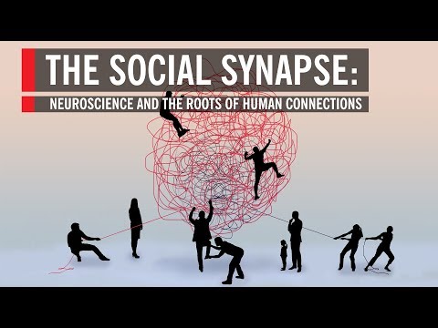 Neuroscience and the Roots of Human Connections