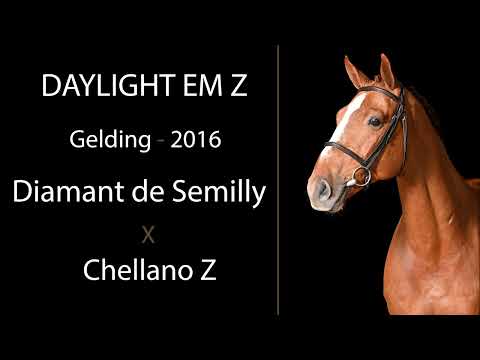 Daylight EM Z video