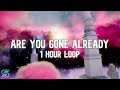 Nicki Minaj - Are You Gone Already [1 Hour Loop]