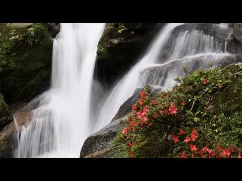 Take The Water To The Mountain cover