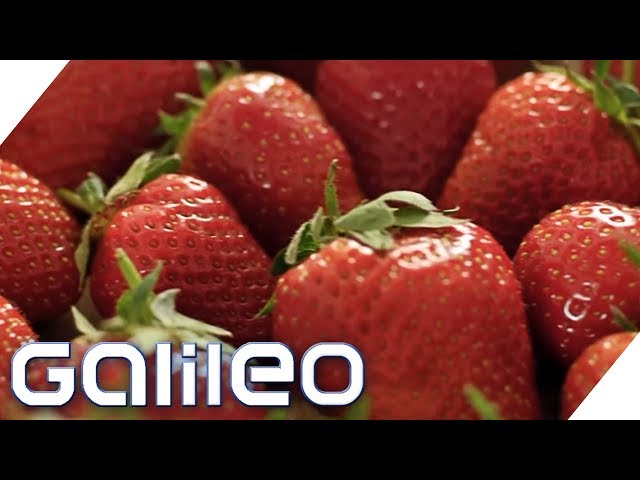 Video Pronunciation of Erdbeeren in German