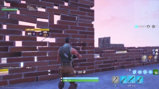【絶滅危惧種・無言配信者のFORTNITE】【MR】クラン活動（入団してなくても入れば参加可能）