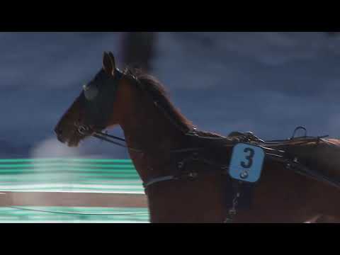 Race 1   Trotting Race   Preis der Gammacatering AG