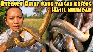 Download lagu PANEN BELUT BESAR PAKE TANGAN DEWA DI AREA TAMBAK mp3
