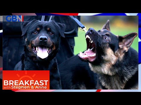 Dangerous Dogs | Should owners be PROSECUTED? Nancy Creddon and Julie Ann Frew debate
