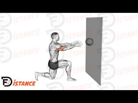 Poussée de medecine ball horizontale un genoux au sol - Exercice Poussée de medecine ball horizontale un genoux au sol en vidéo Poussée de medecine ball horizontale un genoux au sol - Exercice Poussée de medecine ball horizontale un genoux au sol en vidéo