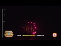 P5514 GOLDEN PEACOCK 149 S WINDA FIREWORKS New For 2019