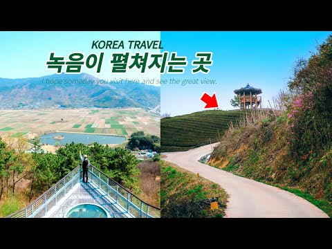 5월에는 하동: 국내 최대 차밭으로 떠나는 힐링여행