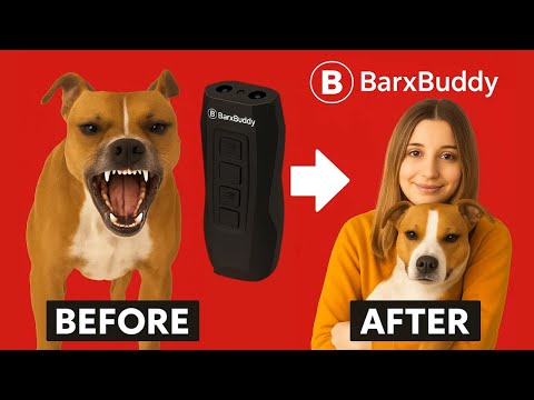 BARXBUDDY ((❌DON’T BUY?!⚠️)) BarxBuddy Review - BarxBuddy Device Reviews - BarxBuddy Honest Review