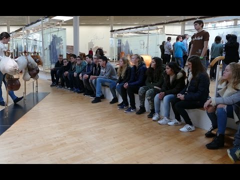 BBG im Römermuseum - Exkursion der EF im Oktober 2016