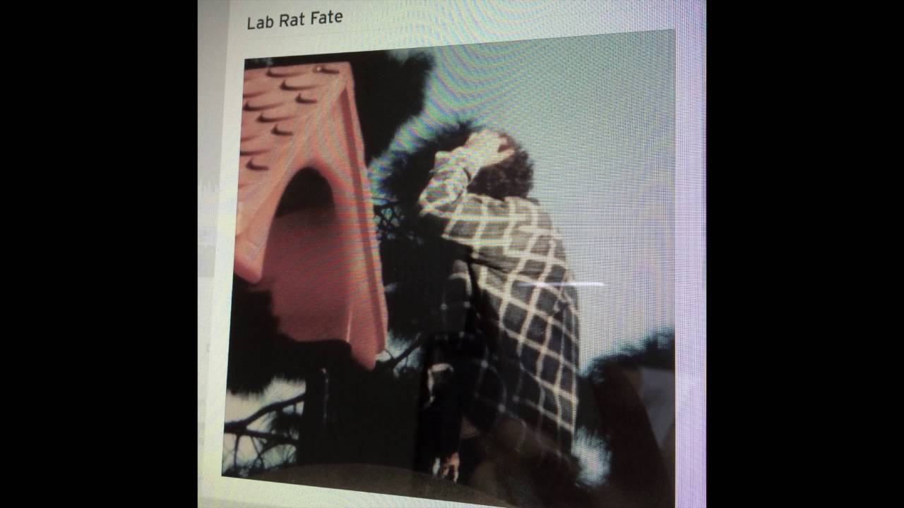 Lab Rat Fate - Ross Harrison