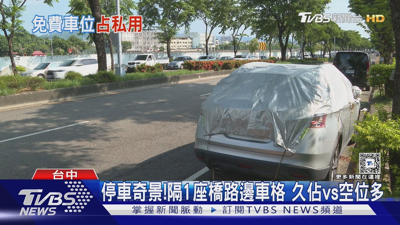 停車奇景！隔1座橋路邊車格　久佔vs空位多