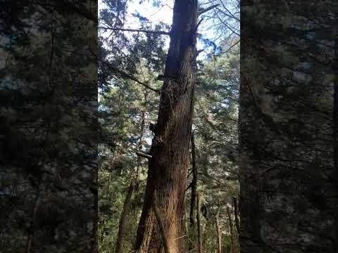 EL SALVADOR.. Canton los planes san ignacio chalatenango..