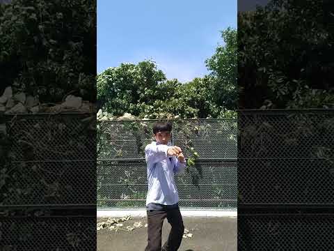 宮拳法カーフキック