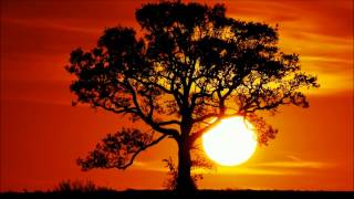 Pat Metheny  ( The longest summer )