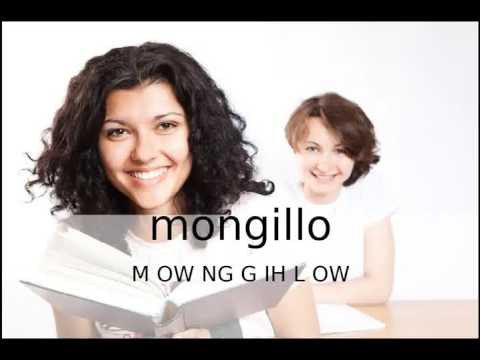 How to pronounce mongillo / How to say mongillo