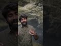Guess This Song Arulpragasam Coversong Love Indian Tamilpaiyen