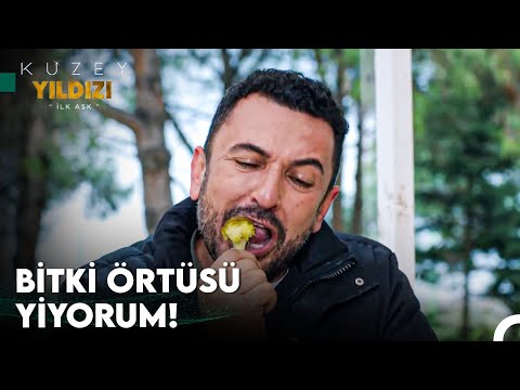 Ot Gibi Yaşamanın Dayanılmaz Zorluğu - Kuzey Yıldızı İlk Aşk