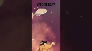 Whale in the sky snapchat filter fun