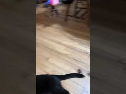 Bristi and Stormy, first thing this morning.