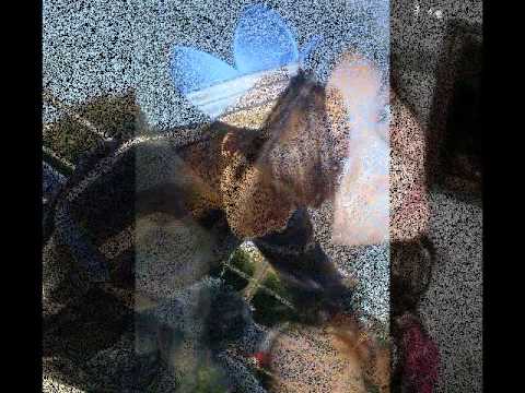 Desculpa   Cláudio Martins