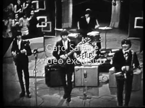 The American Beetles - Live 1964 - Mean woman blues - Clip TV Canal 9 - Buenos Aires - Argentina