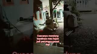 Download lagu diam lagi larena mau hujan#vespaindonesia #vespasian #story #quotes #storywa #storytime #katamutiara mp3