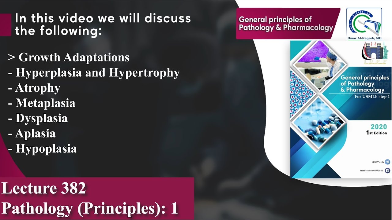 Growth Adaptations | Hyperplasia and Hypertrophy | Atrophy | Metaplasia | Dysplasia | Aplasia