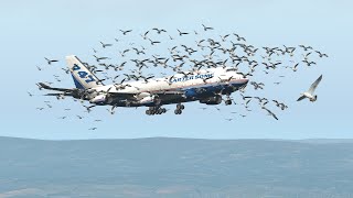 Boeing 747 FORCED To Emergency Landing After Bird-strke | X-PLANE 11
