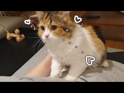 아이콘