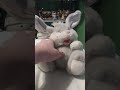 House Of Lloyd Tickle Me Bunny